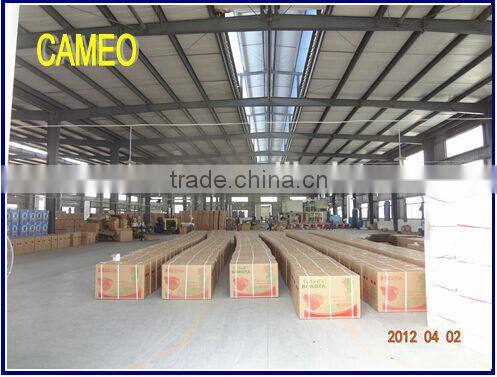 CP188FS Camshaft Output 456CC 10.2HP/10.6HP Small Diesel Outboard Motor