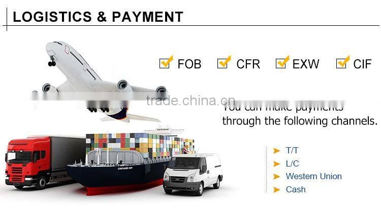 China new building material AAC wall panel