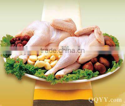 hot sale SYTM-500 Stainless steel poultry feather Plucker