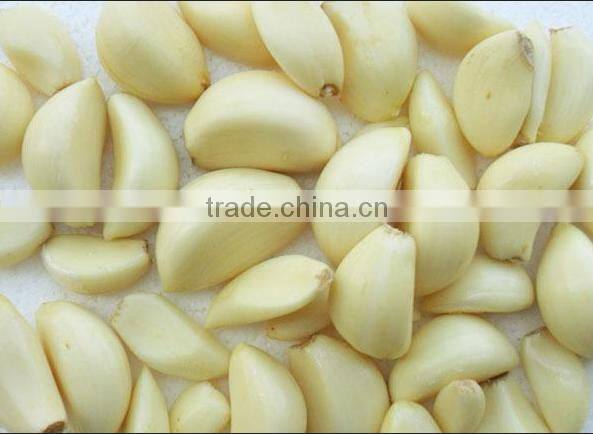 garlic skin peeling machine/garlic peelereauipment