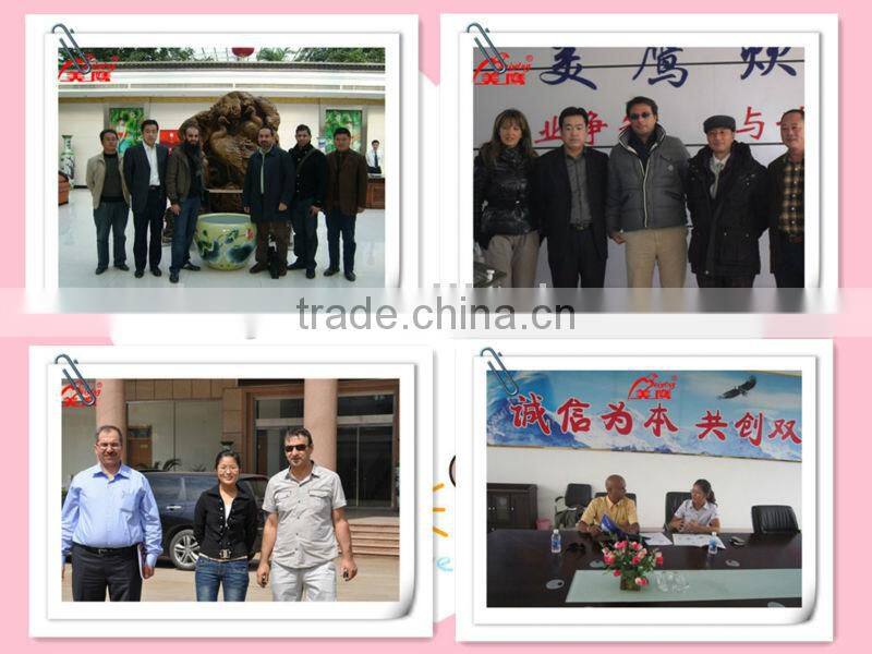 JGL120 Samosa Machine dumpling machine