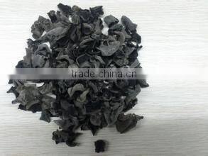 Industrial dried edible fungus microwave sterilizing machine