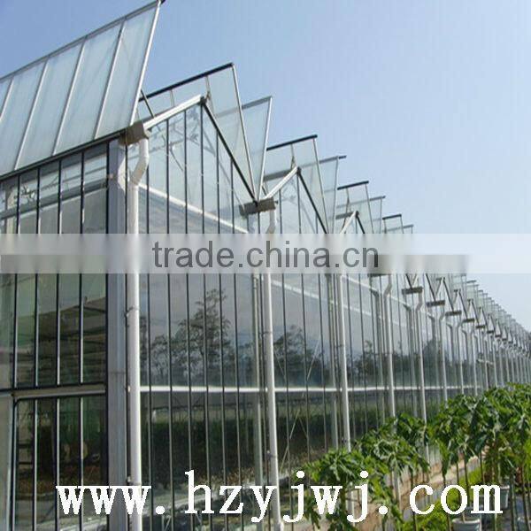 Large span glass greenhouse