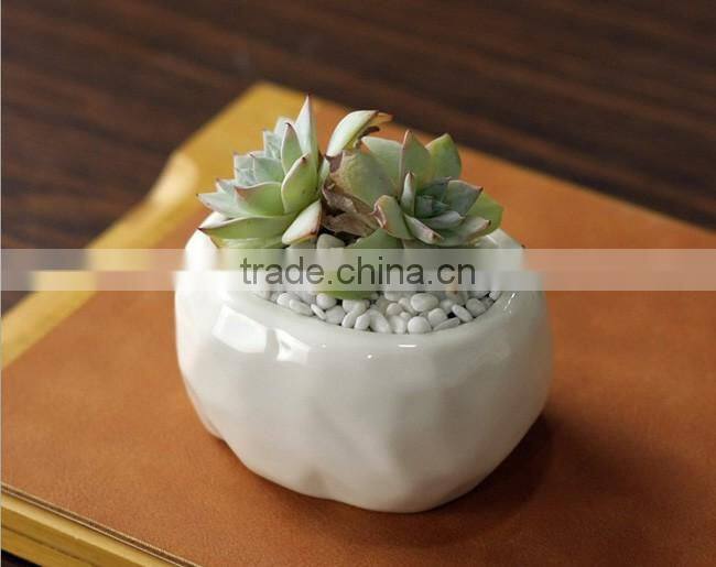 New design oval stone grain ceramic product small white flower pot