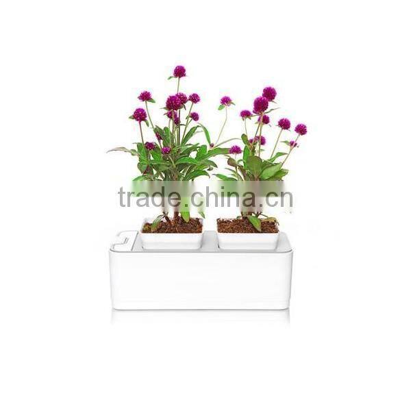 2014 newest office decoration mini smart garden