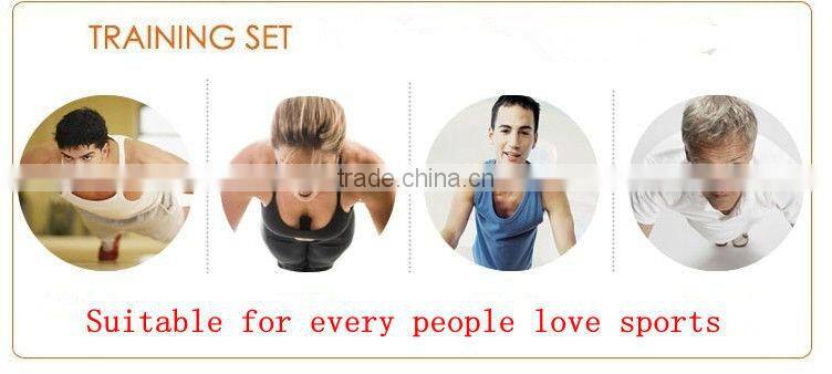 Push Up Bar / Twister Push Up Stand