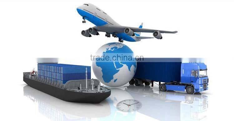 Womens Boxing Shorts 100% Polyester Custom Muay Thai Shorts