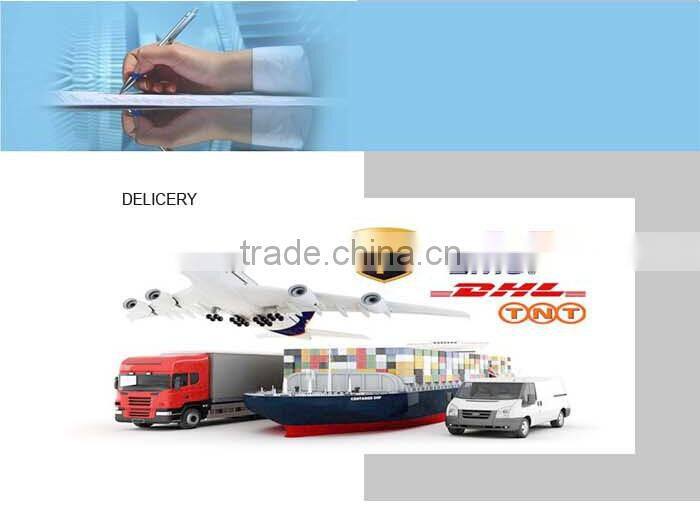 Fashion Customised Plastic Letters Logo Plain Leather Snapback Hat/Cap Wholesale