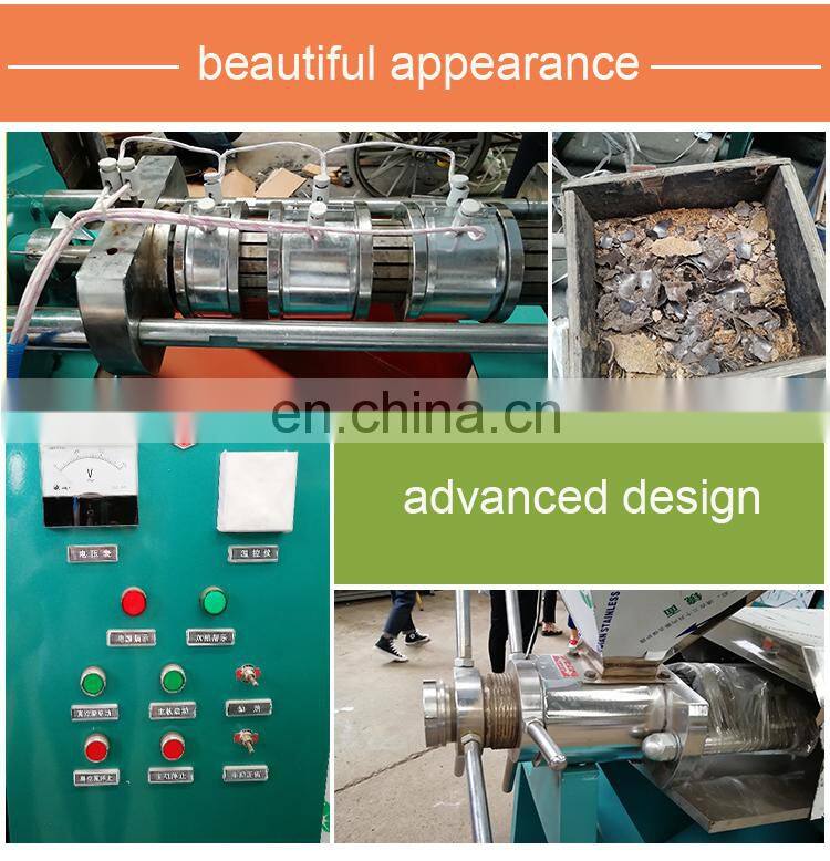 High performance Fully automatic camellia oleifera seed Cold press Palm Fruit commercial Screw press Peanut oil Refiner