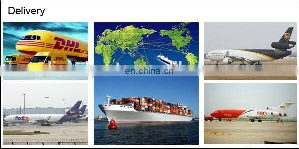 Longbeng Fuel Injection Pump BH6P110 (5854) for SHAGCHAI CAT6121