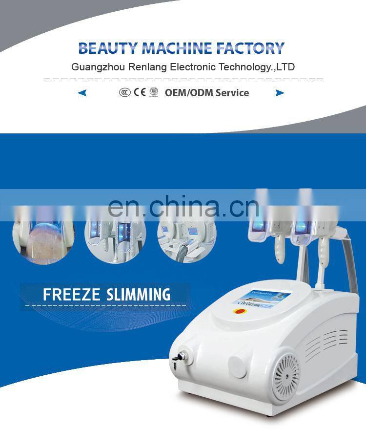 Renlang Top Seller Fat Reduction Device Fat Freeze Portable Slimming Machine