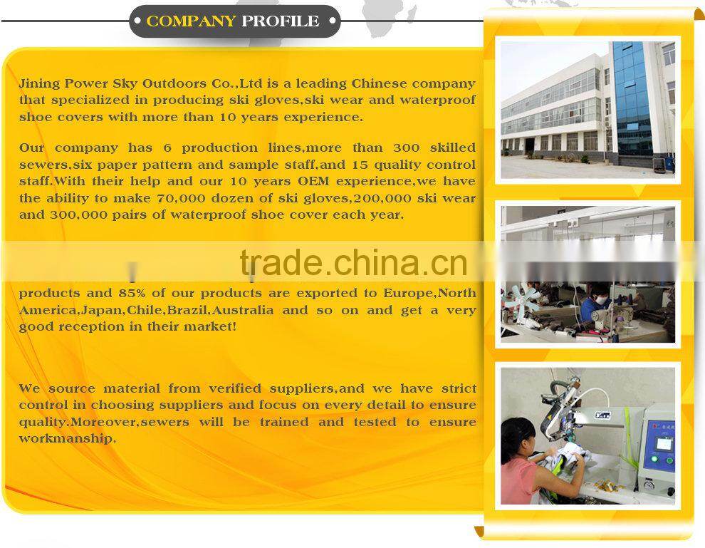 Waterproof Thinsulate Insulation 40 Gram Gloves For Skiing