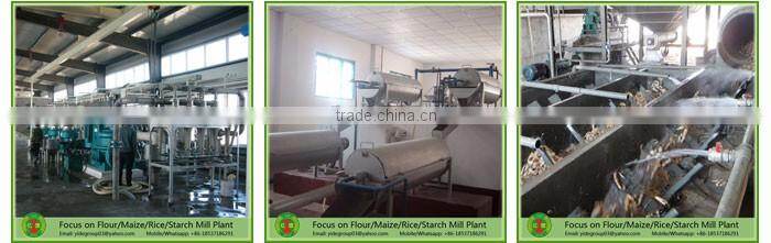 Turnkey project full automatic wheat starch line