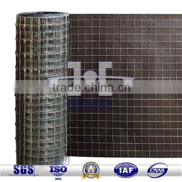 Galvanized Welded Wire Mesh for Wall Plaster Mesh