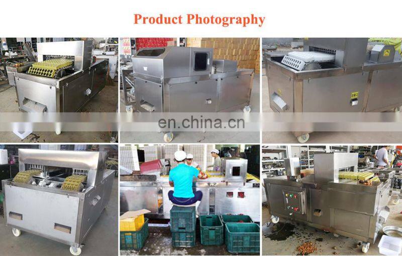 Best quality fruit litchi chinensis kernel remover pitting remove machine