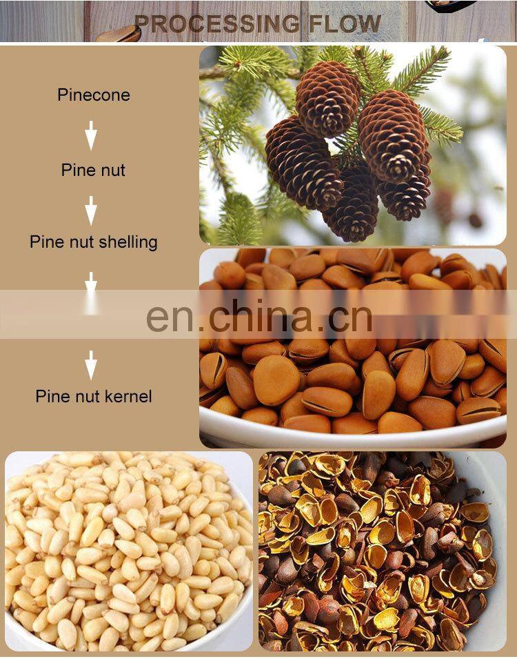 pine nut processing machine pine cone crusher pine nut cracking machine