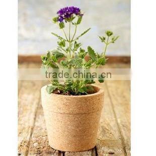 cork flowerpot/cork planter