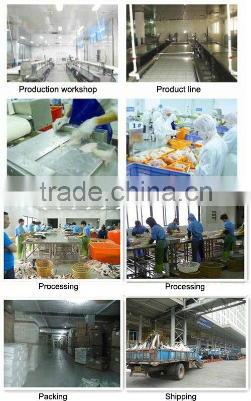 frozen whole yellowfin tuna