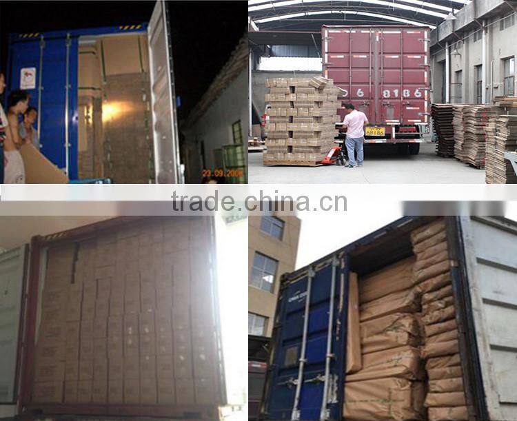 Cats Owner luxury high quality paper toy for cats