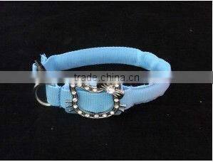 personalized led dog collars
