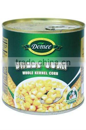 Fresh Corn for Sale Canned Sweet Corn Factory