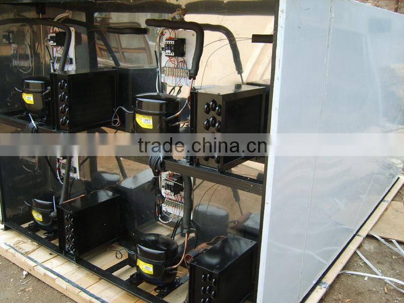 MSLMR06A - Cheap 6 body freezer for sale with Danfoss compressor