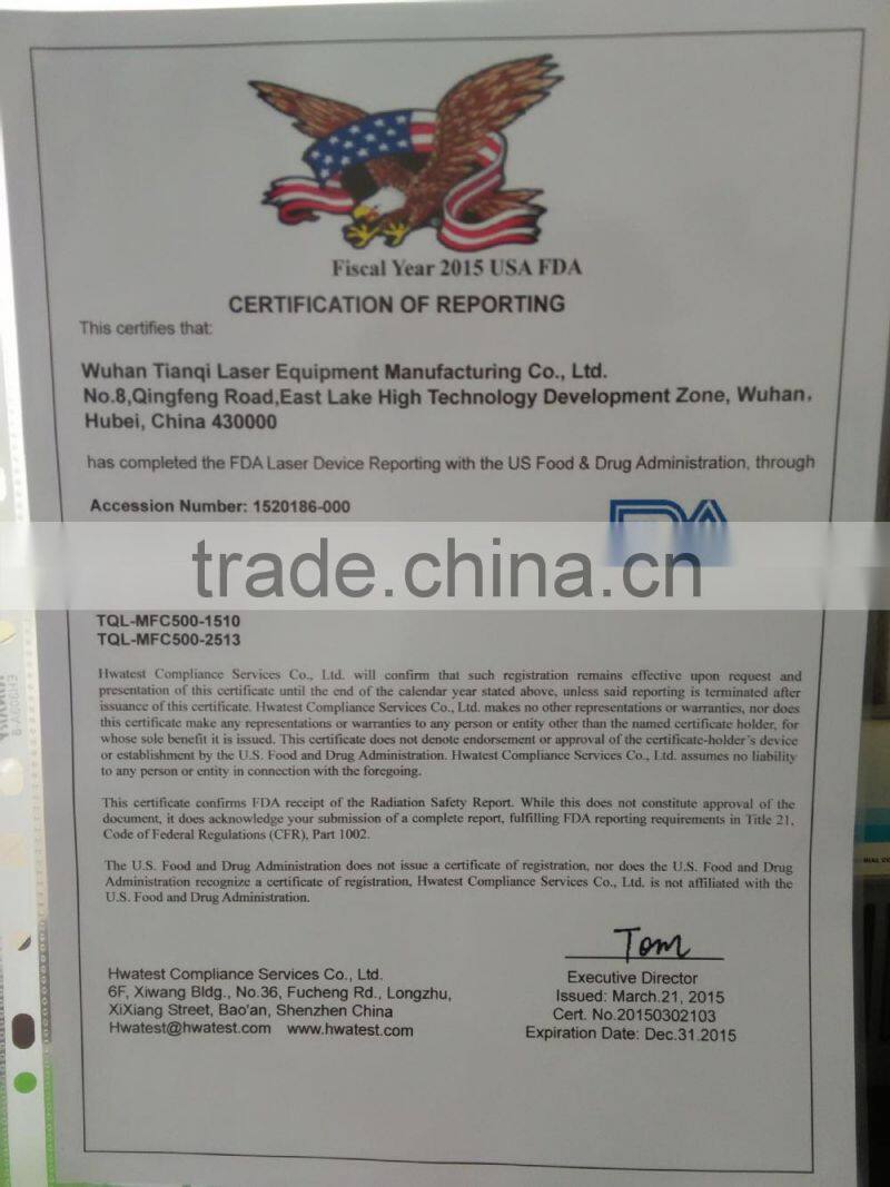 Glitter Laser Cutter for Pipe Sheet Carbon Stainless Steel