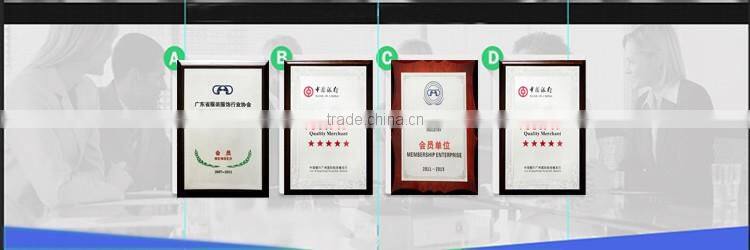 Soft Mesh High Quality Cord Applique Embroidery For Wedding Dress /Curtain