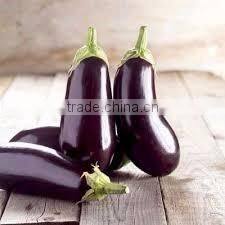 Viet NamOriginal Frozen Eggplant good quality