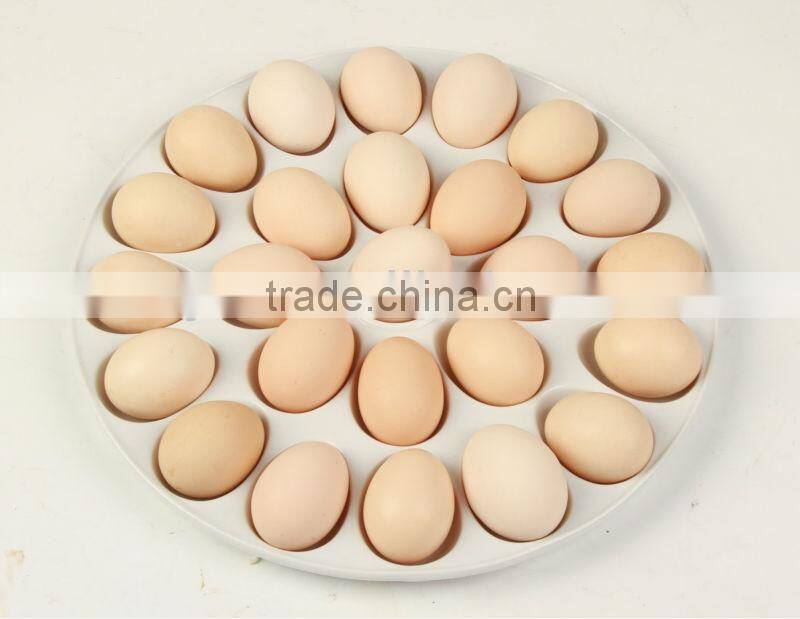 Ceramic Egg Holder Plate