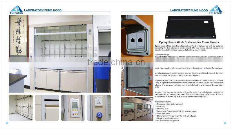 Commercial Ventilation System Exhaust Fume Hood Vertical Laminar Flow Cabinet