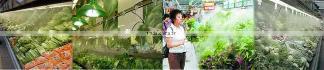 Watering and Irrigation Line, Patio Misting Line, Garden Misting Kits, Water Cooling Kits, Outdoor Cooling Kits