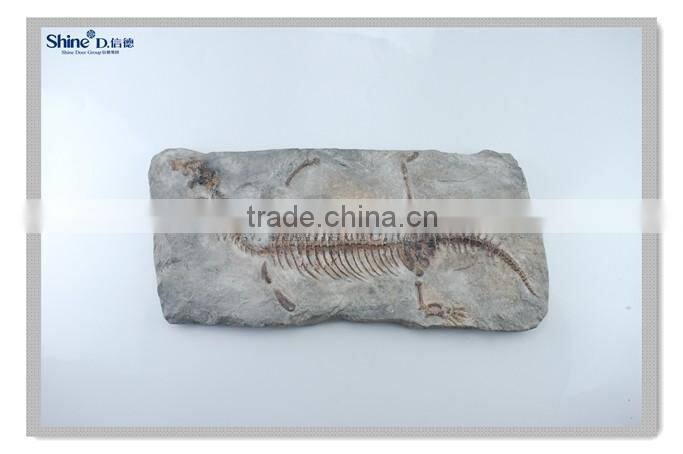 modern wall decor ocean animal fossil wall hanging decoration