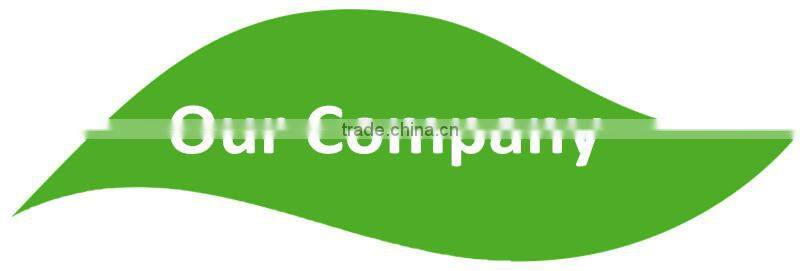 Modern cute wireless battery powered children kids led study sheep desk lamp