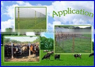 2.0*2.4mm Galvanized Oval wire(factory of producing steel wire)