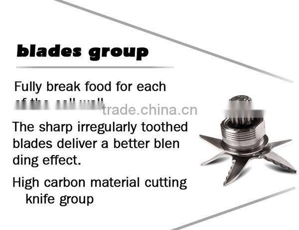 3L professional nutrition smoothie blender