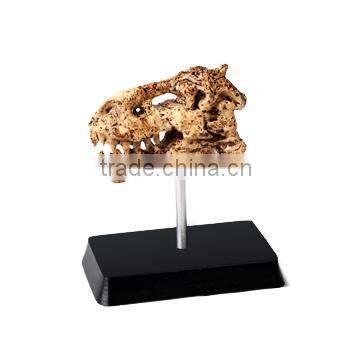 Mid Dinosaur Skull Dig Kit with stand, 6 assorted, 24pcs per display.