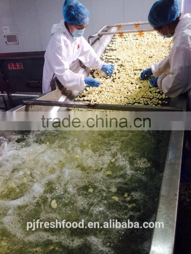 Fresh peeled garlic 5lbx6bg/carton