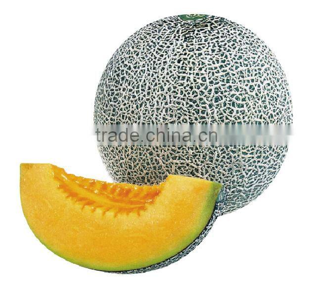 Hybrid muskmelon hami melon seeds for sale affection net