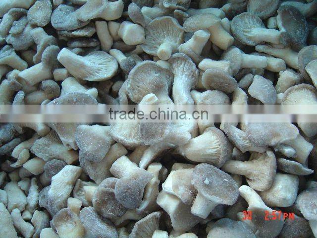 Chinese IQF frozen oyster mushroom