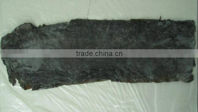 Dried kelp sheet, broad dried kelp leaves to conduct SPA treatments in beauty salons
