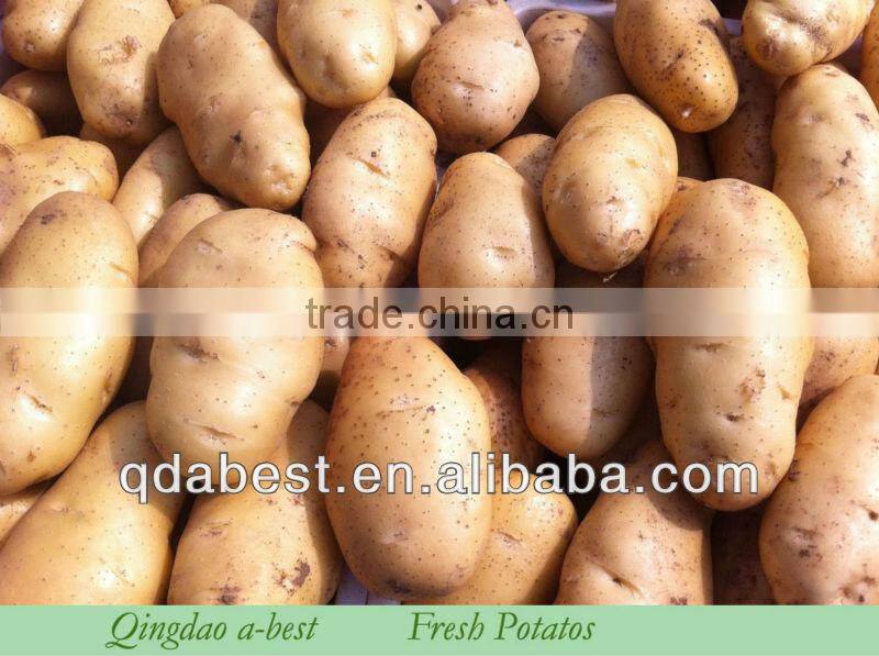 2014 new crops fresh potatos