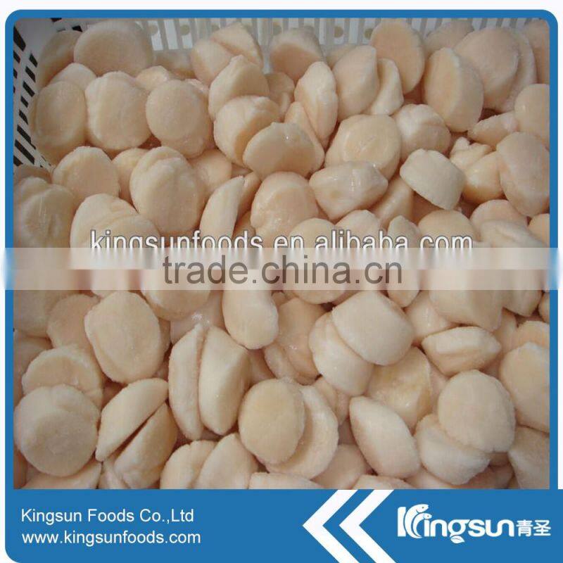 Frozen Sea Scallop on hot sale