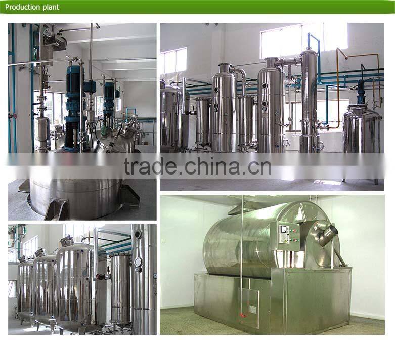 High Quality Black Tea Extract / Pure Black Tea Extract / Black Tea Extract Theaflavins