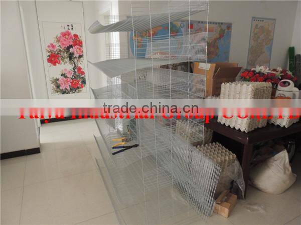 TAIYU Foreign Agent Farm Quail Visit Customers Every Year