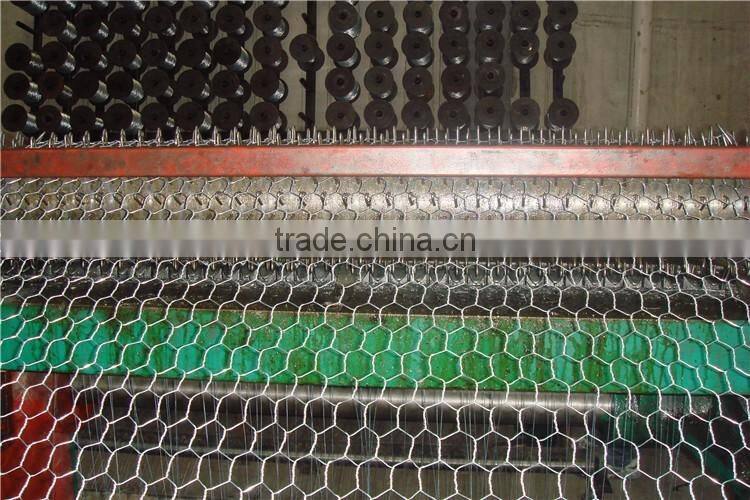 (30 years factory)Hexagonal chicken wire mesh