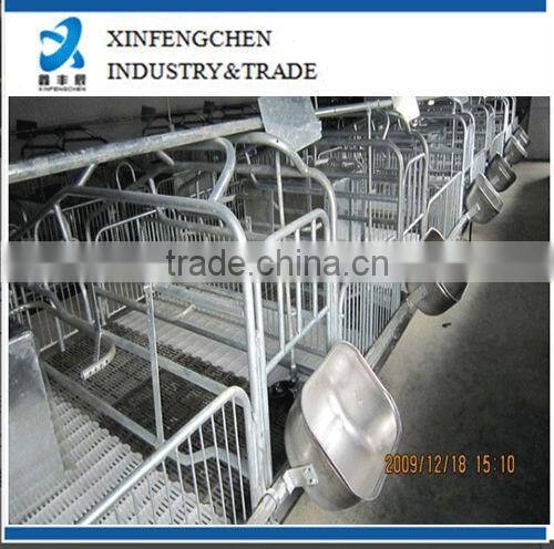 pig farming equipment--gestation stall