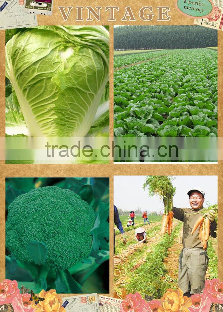 Neweek agricultural light and flexible hand vegetable drill machine