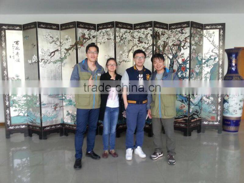 cheap mini 2 person electric golf carts