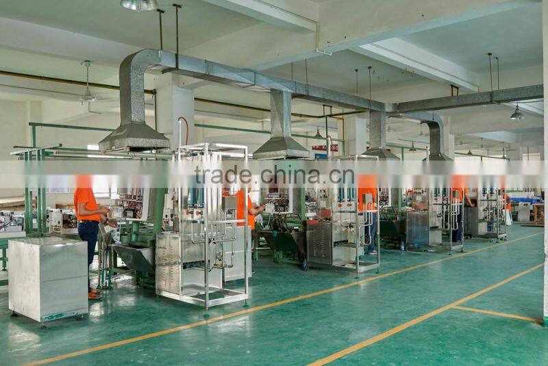 wall mounted nature Gas boiler- Manufacturer since 2005